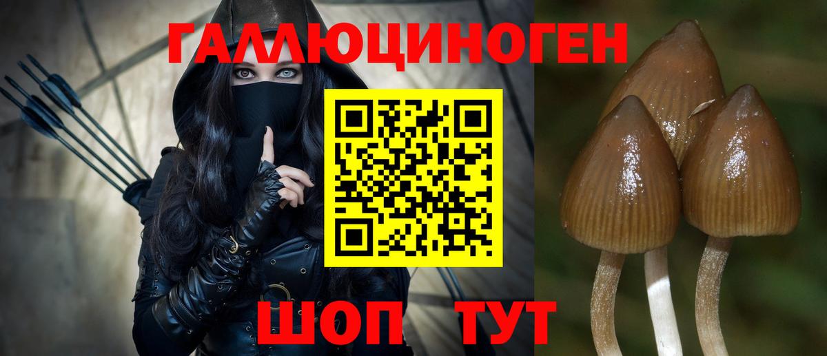Краснодар  Псилоцибиновые грибы прущие грибы  Вход с VPN  Псилоцибиновые грибы Psilocybine cubensis 